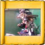 Foto di «Mostra Ornitologica — 2015»