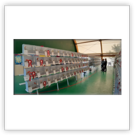 Foto di «Mostra 2019»