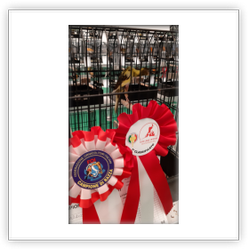 Foto di «Mostra 2019»