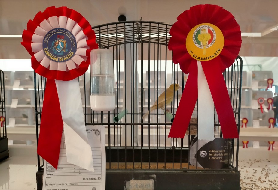 Foto di «Mostra 2022»