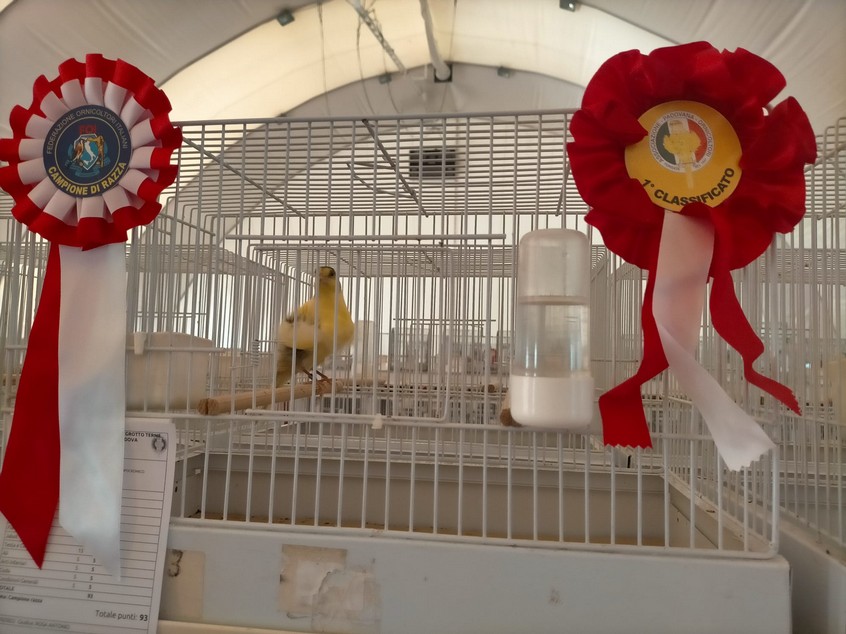 Foto di «Mostra 2022»