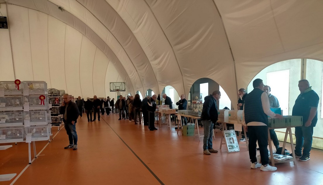 Foto di «Mostra 2022»
