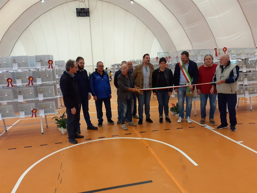 Foto di «Mostra 2022»