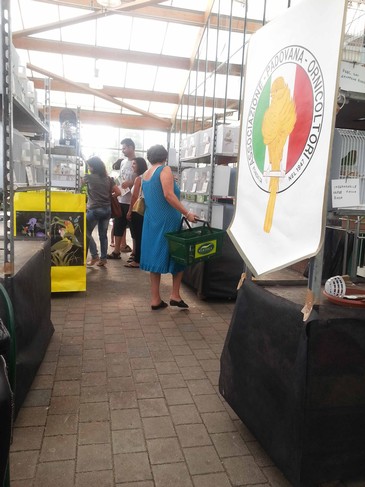 Foto di «Eventi»