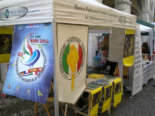 Foto di «Eventi»