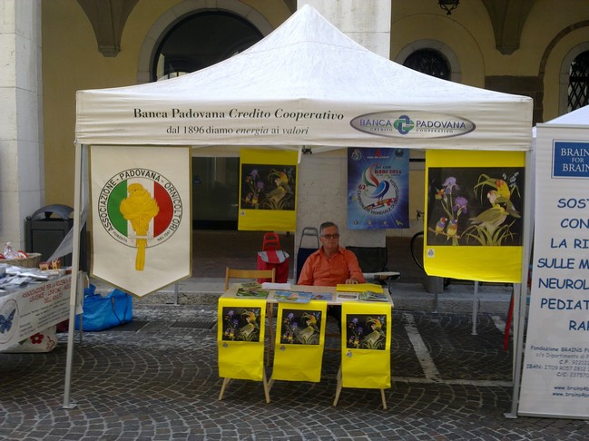 Foto di «Eventi»