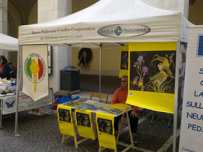 Foto di «Eventi»